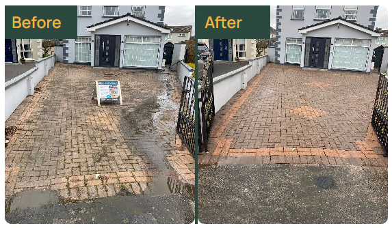 8f8f4b40-c8c5-469f-a9c6-022a4f1f34c1